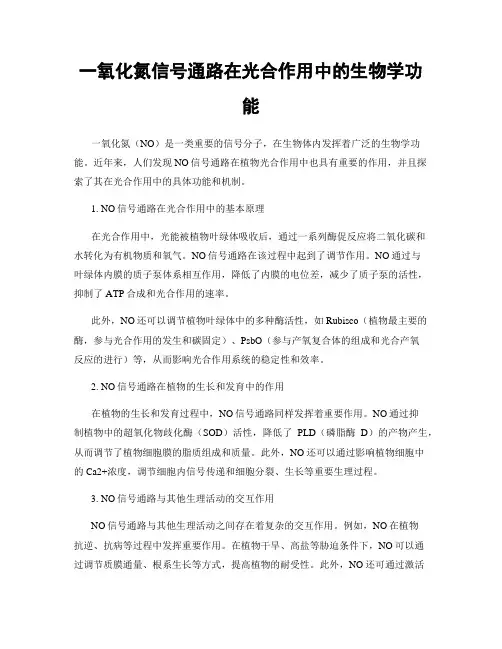一氧化氮信号通路在光合作用中的生物学功能