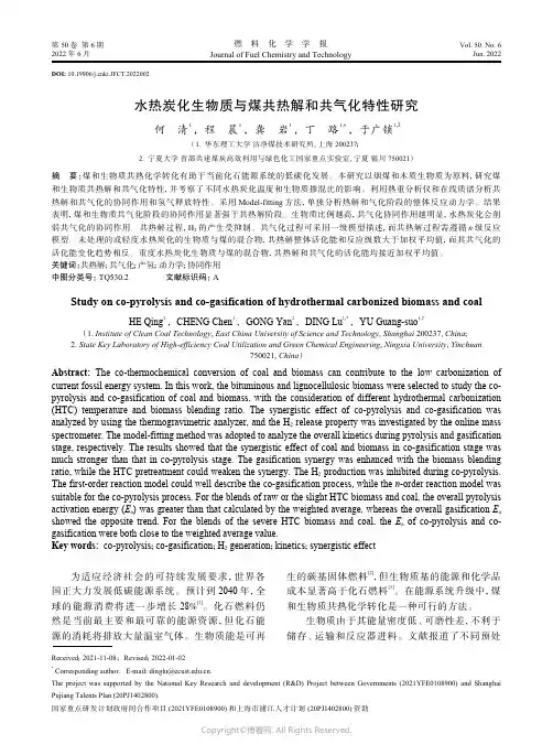 水热炭化生物质与煤共热解和共气化特性研究