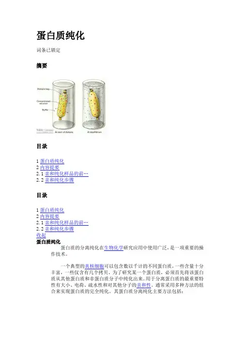 蛋白质纯化