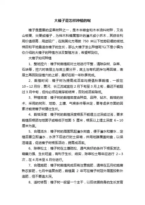 大榛子是怎样种植的呢