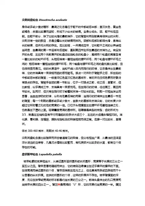 部分轮虫