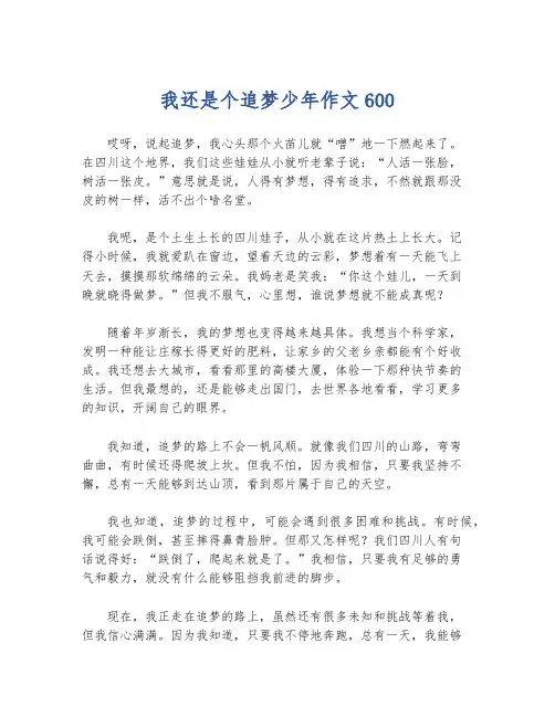 我还是个追梦少年作文600