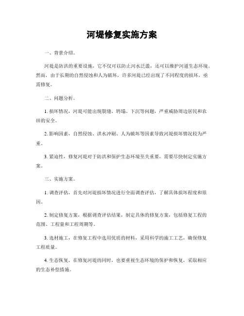 河堤修复实施方案