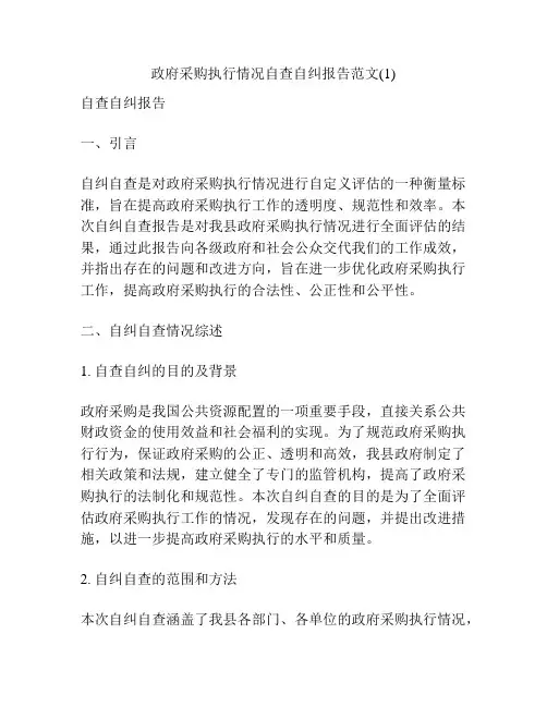 政府采购执行情况自查自纠报告范文(1)