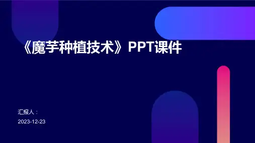 《魔芋种植技术》PPT课件