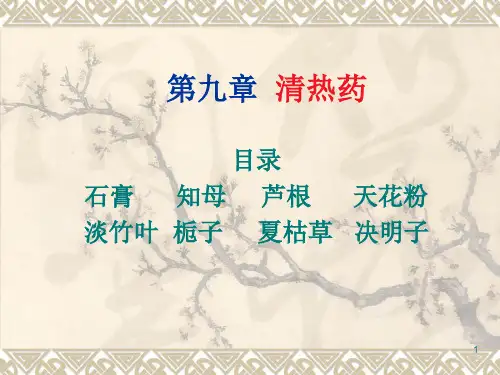 -清热泻火药PPT课件