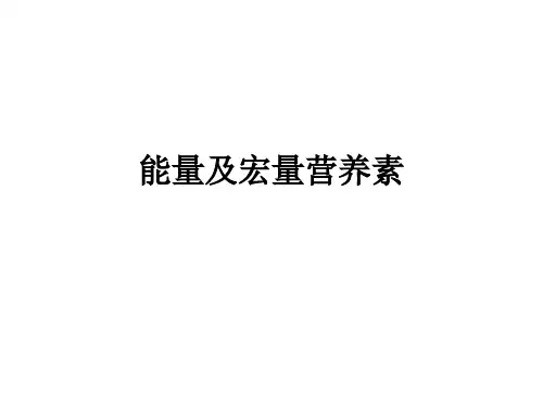 能量及宏量营养素