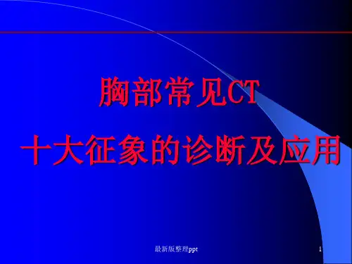 肺部CT 十大入门征象ppt课件