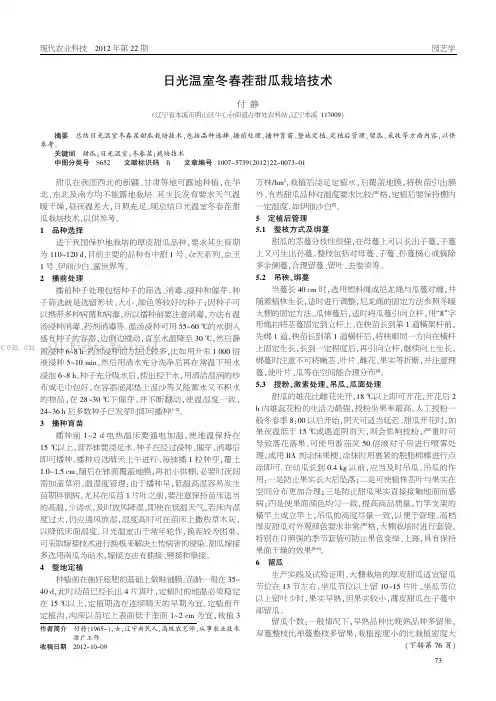 日光温室冬春茬甜瓜栽培技术