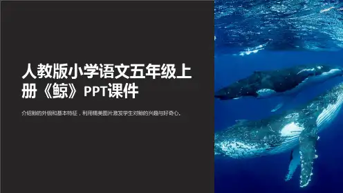 人教版小学语文五年级上册《鲸》课件