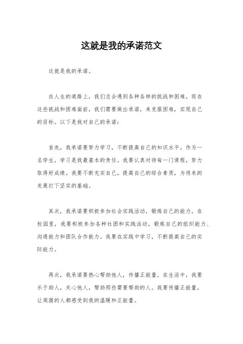 这就是我的承诺范文