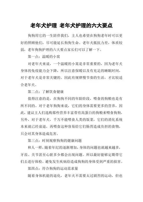 老年犬护理 老年犬护理的六大要点