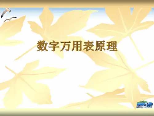数字万用表原理PPT培训课件
