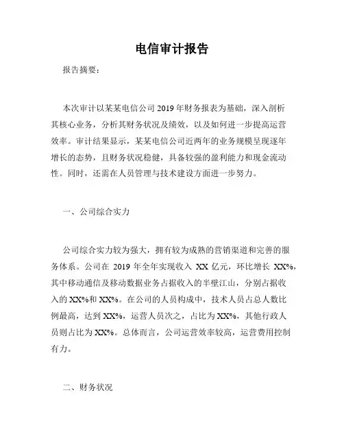 电信审计报告