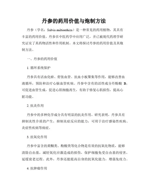 丹参的药用价值与炮制方法