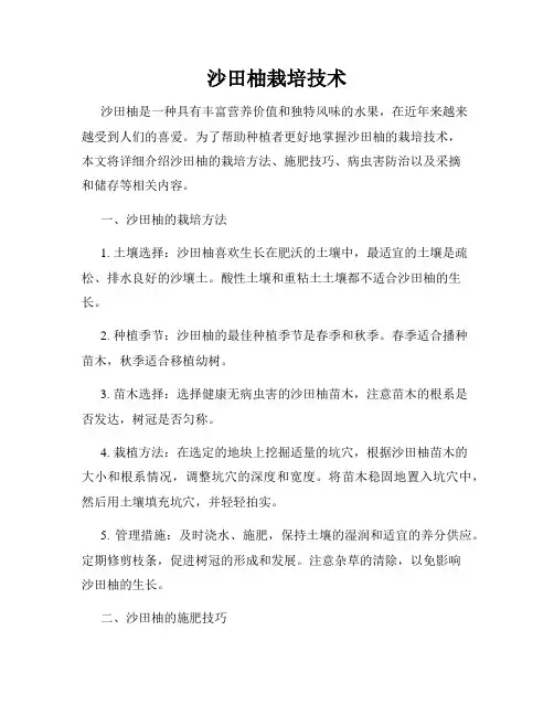 沙田柚栽培技术