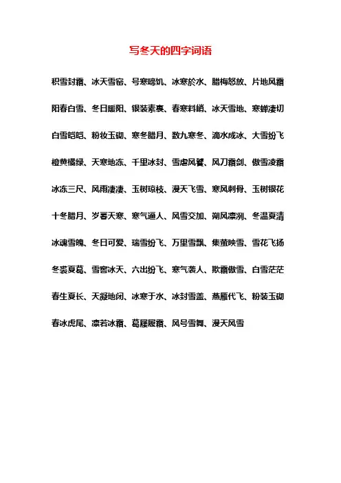 写冬天天的四字词语