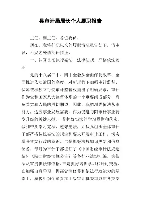 县审计局局长个人履职报告