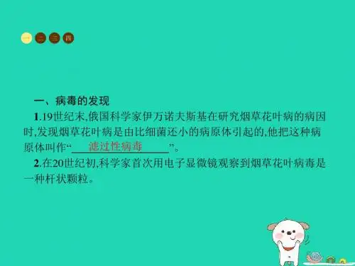 八年级生物上册5.5病毒课件(新版)新人教版