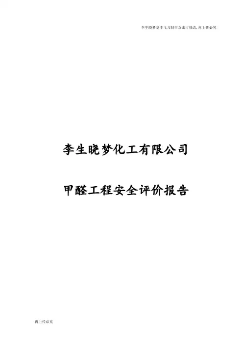 甲醛工程安全评价报告