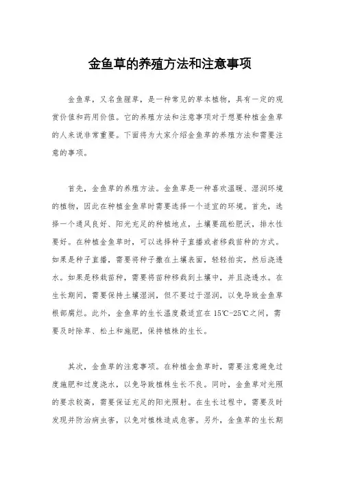 金鱼草的养殖方法和注意事项