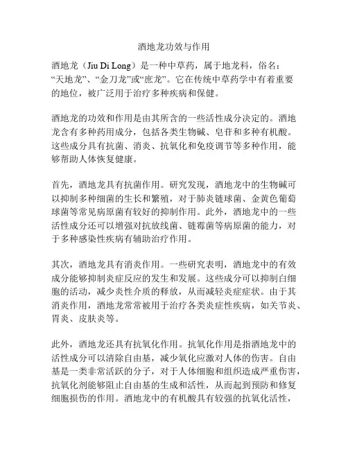 酒地龙功效与作用