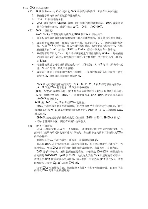 DNA的高级结构