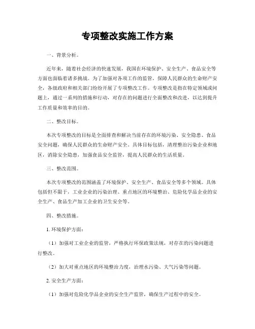 专项整改实施工作方案