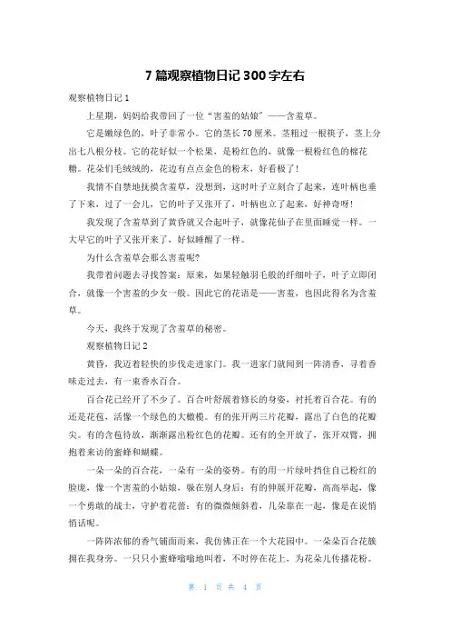 7篇观察植物日记300字左右