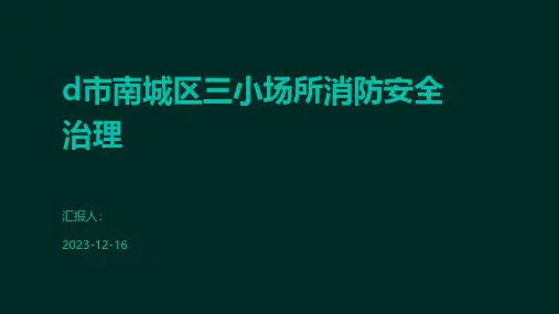 d市南城区三小场所消防安全治理
