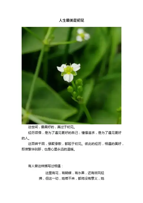 人生最美是初见