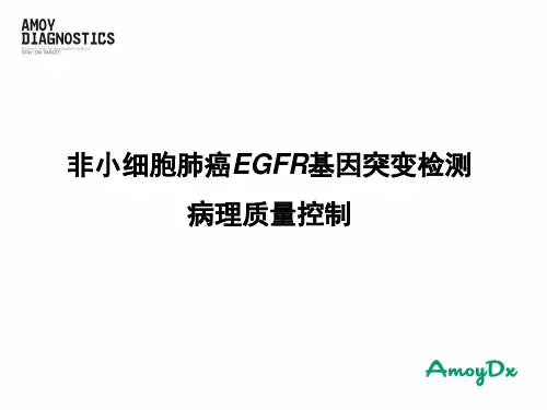13 非小细胞肺癌EGFR基因突变检测病理质量控制-13