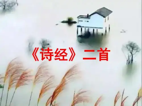 【最新整理版】苏教版语文九年级上册第16课《诗经二首》课件1.ppt