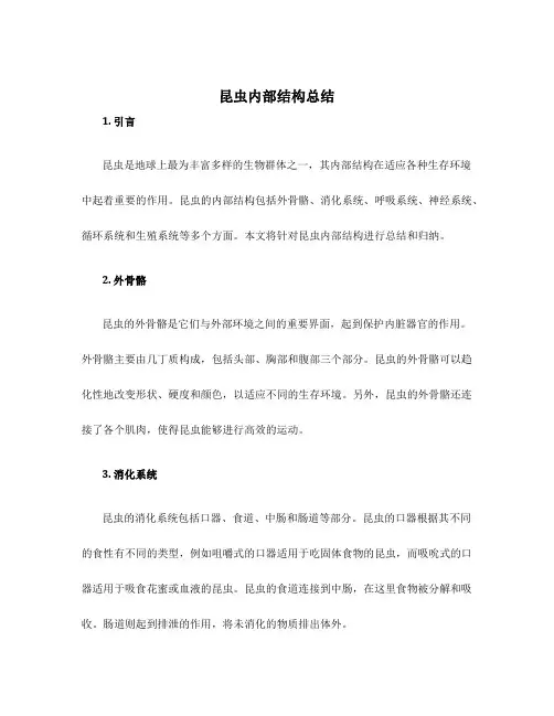 昆虫内部结构总结