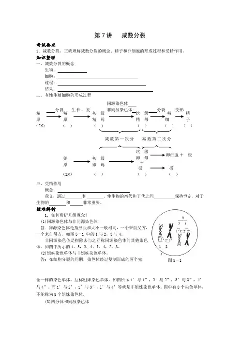 第一轮复习第7讲减数分裂教案1