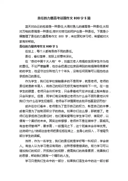 责任的力量高考话题作文800字5篇