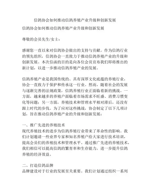 信鸽协会如何推动信鸽养殖产业升级和创新发展