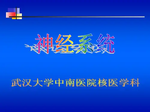 【核医学 课件 PPT】神经系统核医学