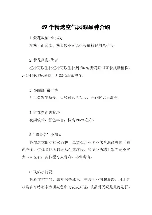 69个精选空气凤梨品种介绍