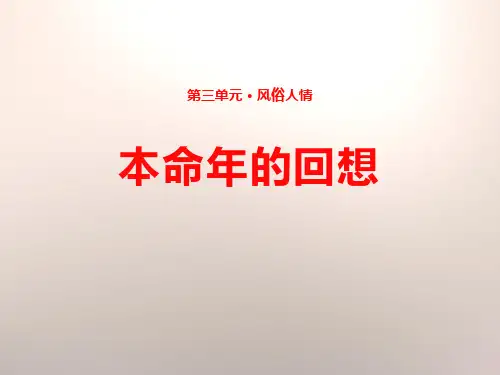 《本命年的回想》ppt课件