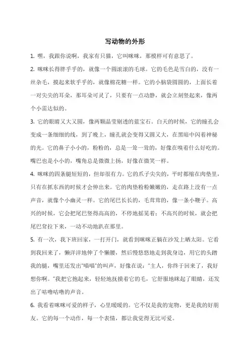 写动物的外形
