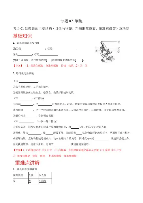 专题02 细胞-2022-2023学年七年级生物上学期期中复习考点梳理+强化训练(北师大版) 