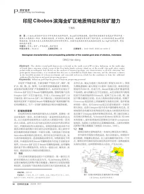 印尼Cibobos滨海金矿区地质特征和找矿潜力