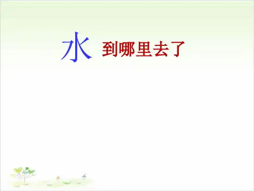 三年级上册科学-水到哪里去了-教科版(共13张)-PPT课堂课件