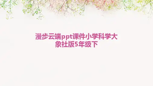 漫步云端ppt课件小学科学大象社版5年级下