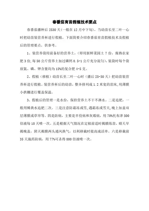 春番茄育苗假植技术要点