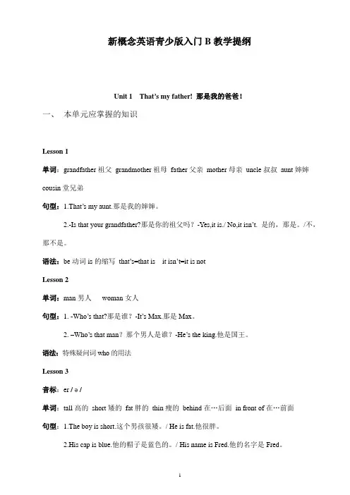 02青少版新概念英语入门级B教案