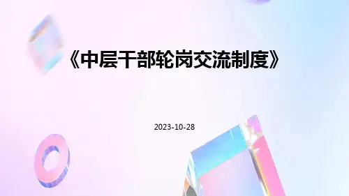 中层干部轮岗交流制度