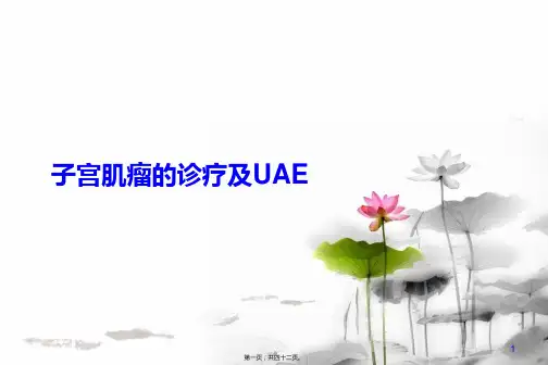 子宫肌瘤的诊疗