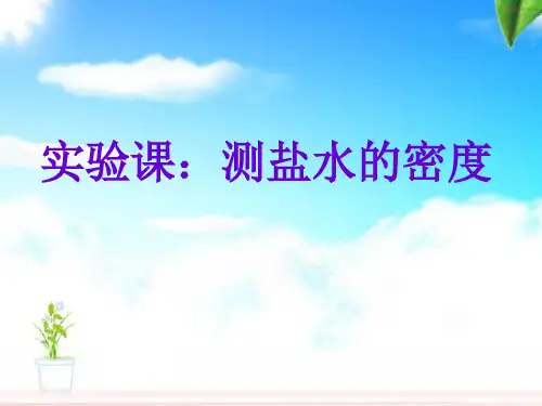 实验测盐水密度课件.ppt